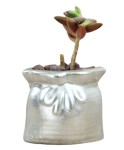 Mini Çiçek Saksı Küçük Sukulent Gümüş Kaktüs Saksısı Kese Model